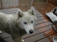 Kristi O'Shaughnessy