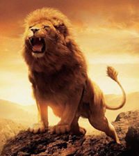 Manigandan Pasupathy