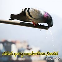 Iwan Aprianto