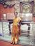 Desai Vani