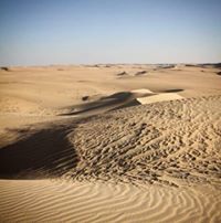 الصمت الاوروبي