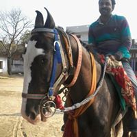 Ashutosh Singh