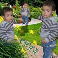 يوسف عبدالحميد