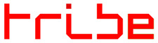 webdeveloper
