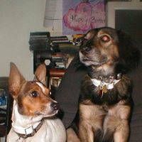 Manuel Hernandez-Sanchez