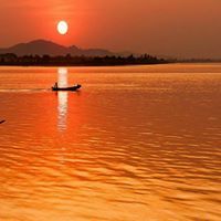 نجيب المالكي