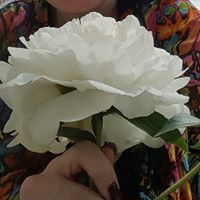 Robyn & Wren McLaughlin