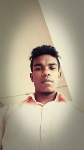 Dino Sundi
