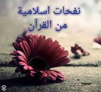 نفحات اسلامية