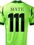 Amit Mate