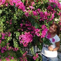 Виолета Манолова