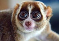 รักคนมีเจ้าของแอบมองทุกวัน หลงรักแฟนชาวบ้านแบบไม่รู้ตัว