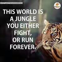 Pushpendra Shrivastava