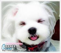 อรรณพ ศรีกุลวงศ์