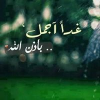 محمد المقدي