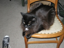 Barbara