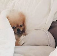 ปนัดดา ศิริรัตนมงคล