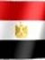 Ahmed E...