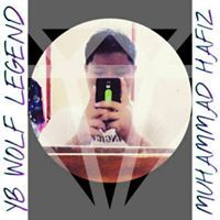 Muhd Hafiz