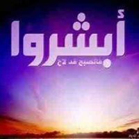 أحمد أبو الشيخ