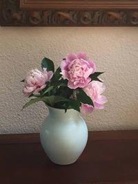 Rosemary Nystrom