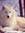 Cheri (cherirnhealer) | 19 comments