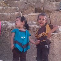 فهمى المصرى