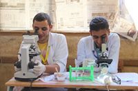إبراهيم حسن