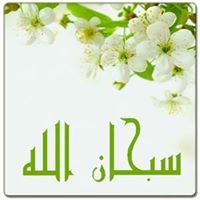 جمال القاضي