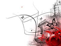 هائل ابراهيم