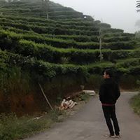 Alan Apriyantara
