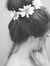 Manar S...