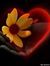 Morteza...