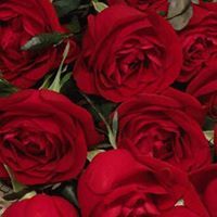 حسين الشريف