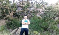 Mohamed Nofal