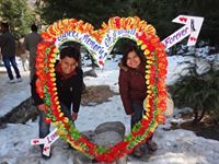 Vikas Chamria