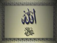 وليد السيد