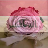 لألوءه لولو