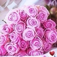 الاء الموسوي