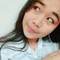 ดรีมมี่ หมูบิน