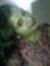 Parul N...