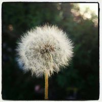 محمد عبدالرزاق