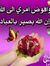 المناضل...