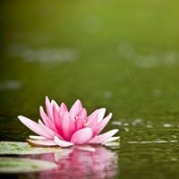 WAHAJ AHMED SIDDIQUI