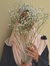 Muneerah Razak