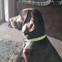 Suzie Daschner-Moore