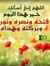 Abeer A...
