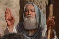 كرار الميرزا