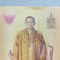 บัวเพลิงหิมะ หาเพื่อนใจ