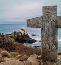 Punta Lobos